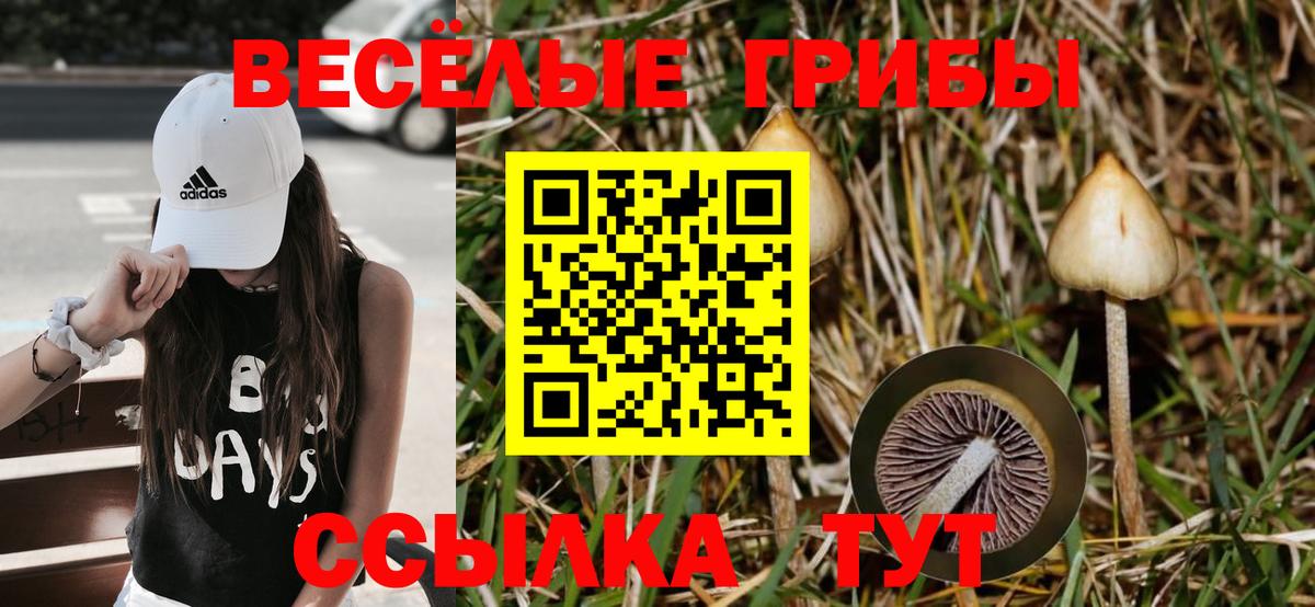 Советск  Псилоцибиновые грибы мухоморы  Вход с VPN 