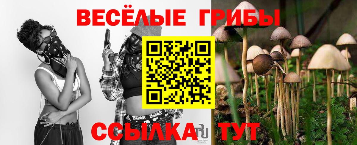 Галлюциногенные грибы мицелий Советск